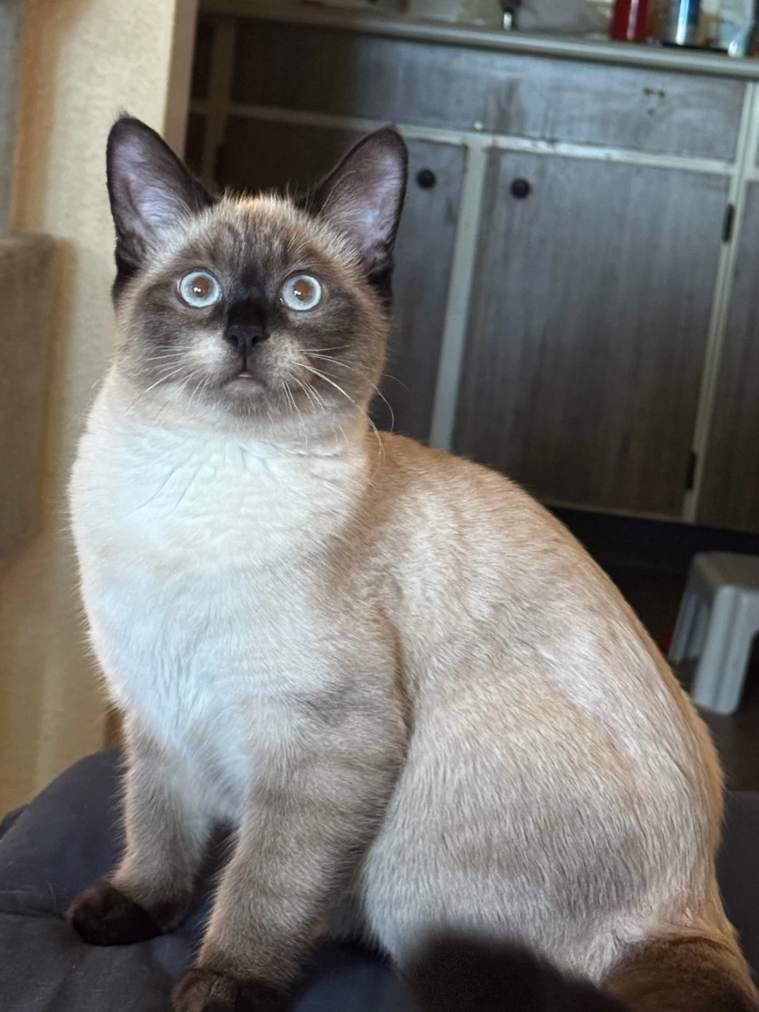 Fran profile