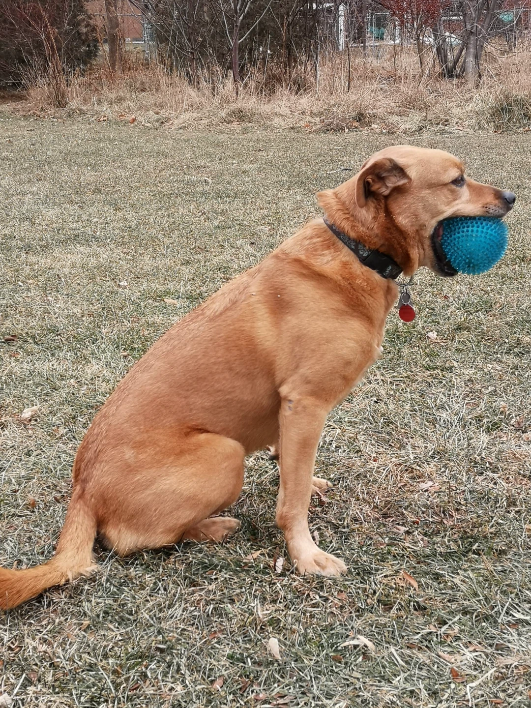 Kate profile