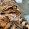 Artur profile