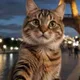 Darwin profile