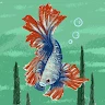 Kaiden Sotoya profile