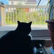 Eva profile