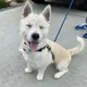 Xian profile