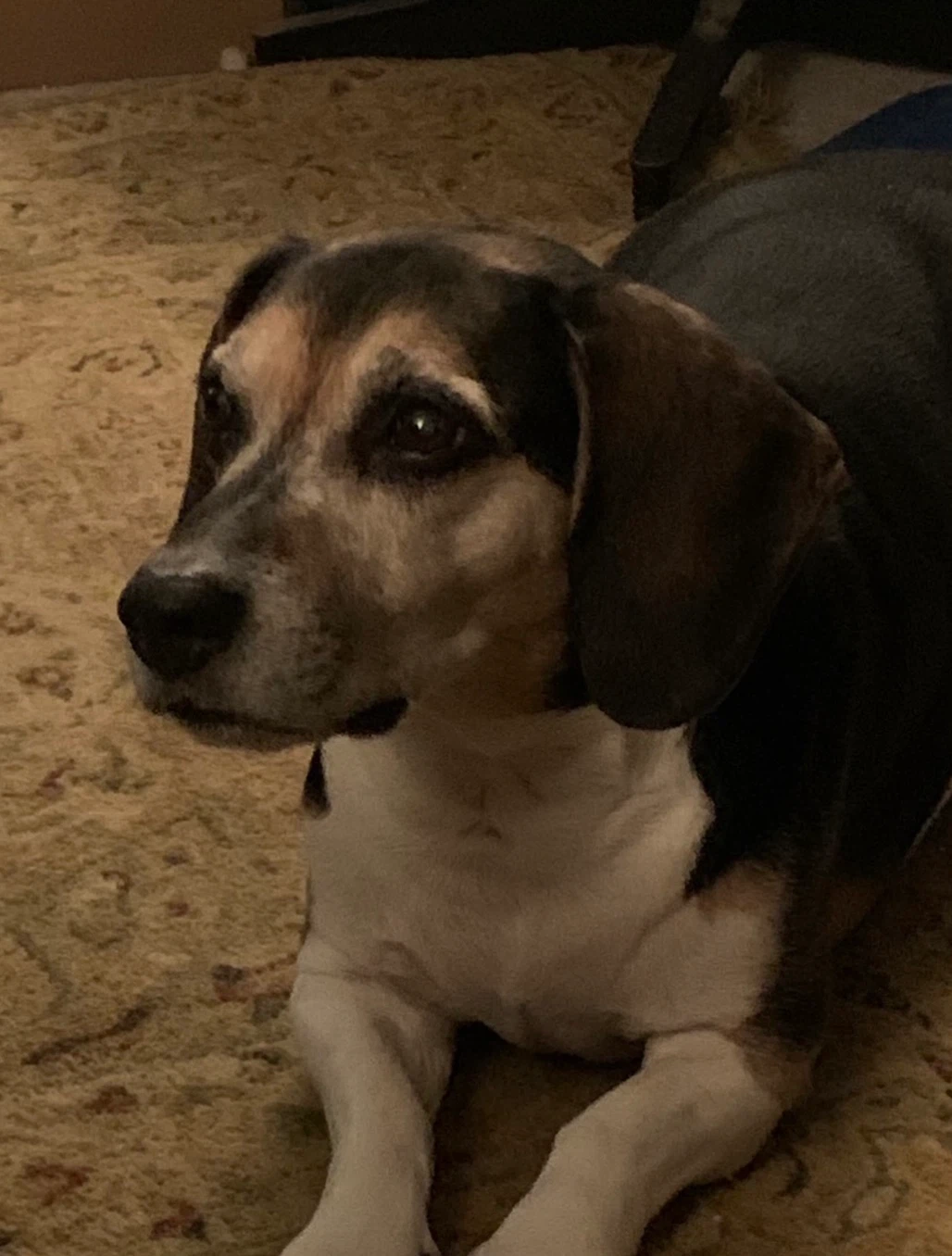 Jenny profile