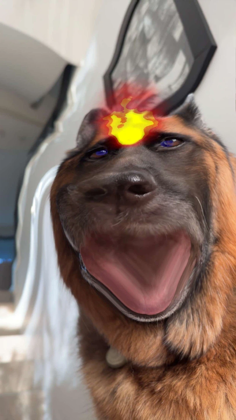 I buys cheaps stuffs profile