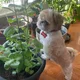 Jeya profile