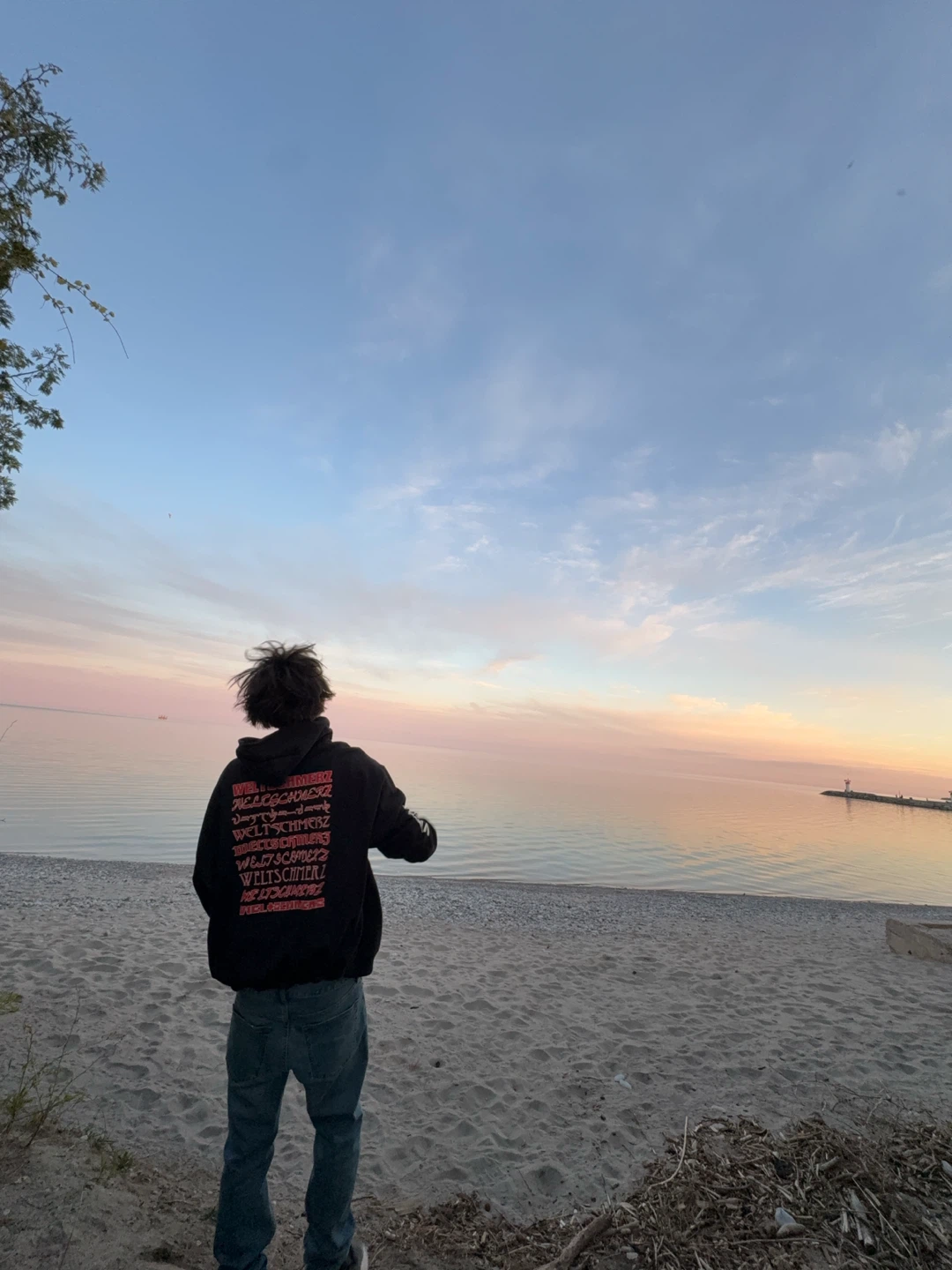 Carter profile