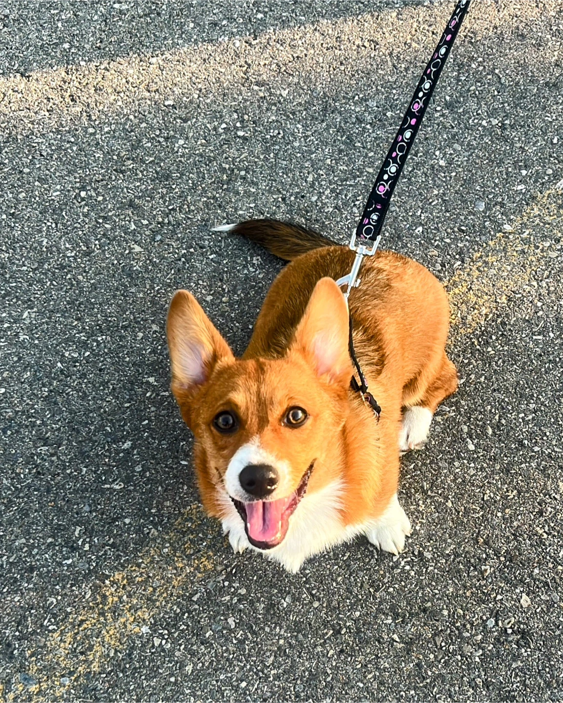 Emma profile