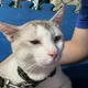 Finn profile