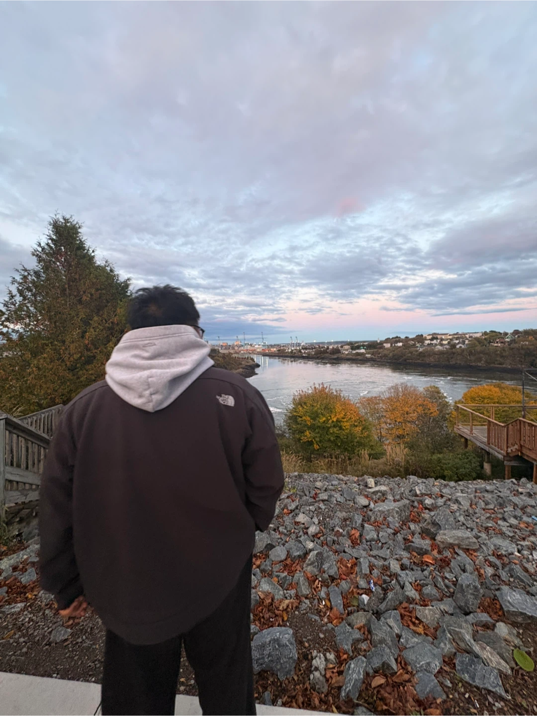 Francis profile