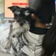 Bessie profile