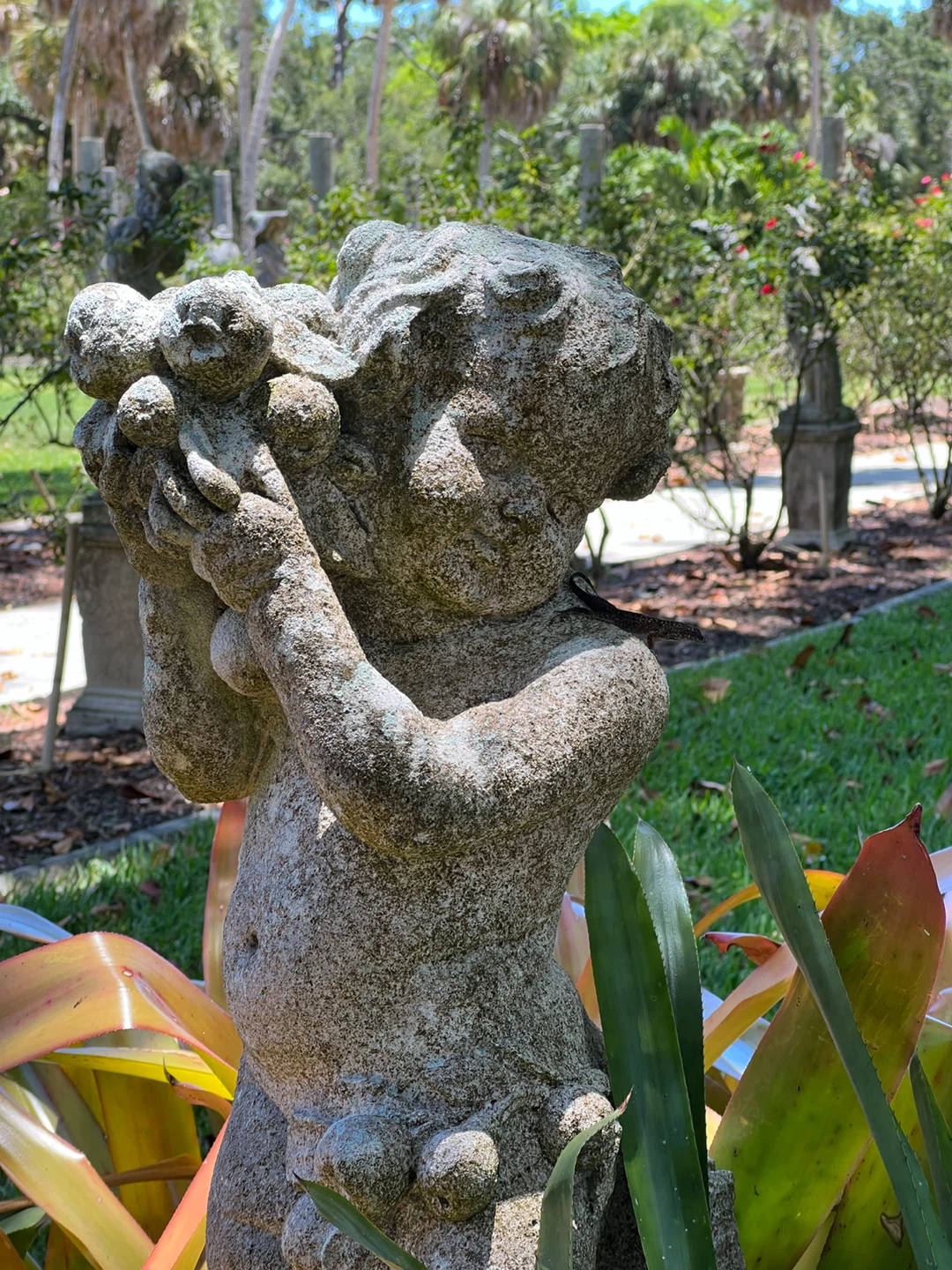 Cupid profile