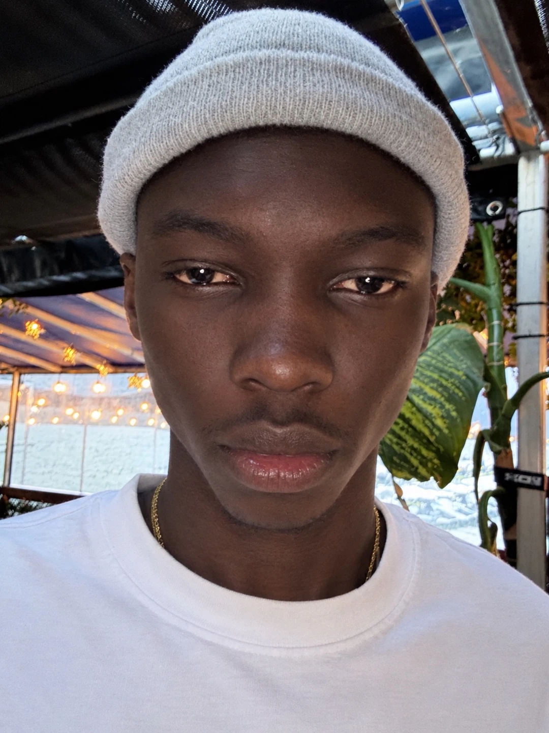 733819 profile