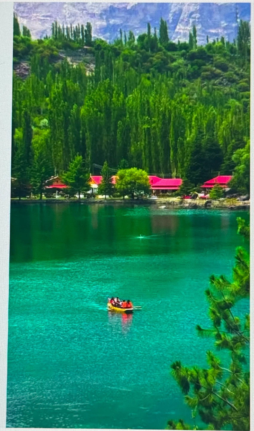 Musharraf Shah profile