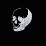 Drew profile