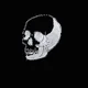 Drew profile