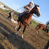Dave Waldner profile