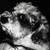 Anton Delacy profile