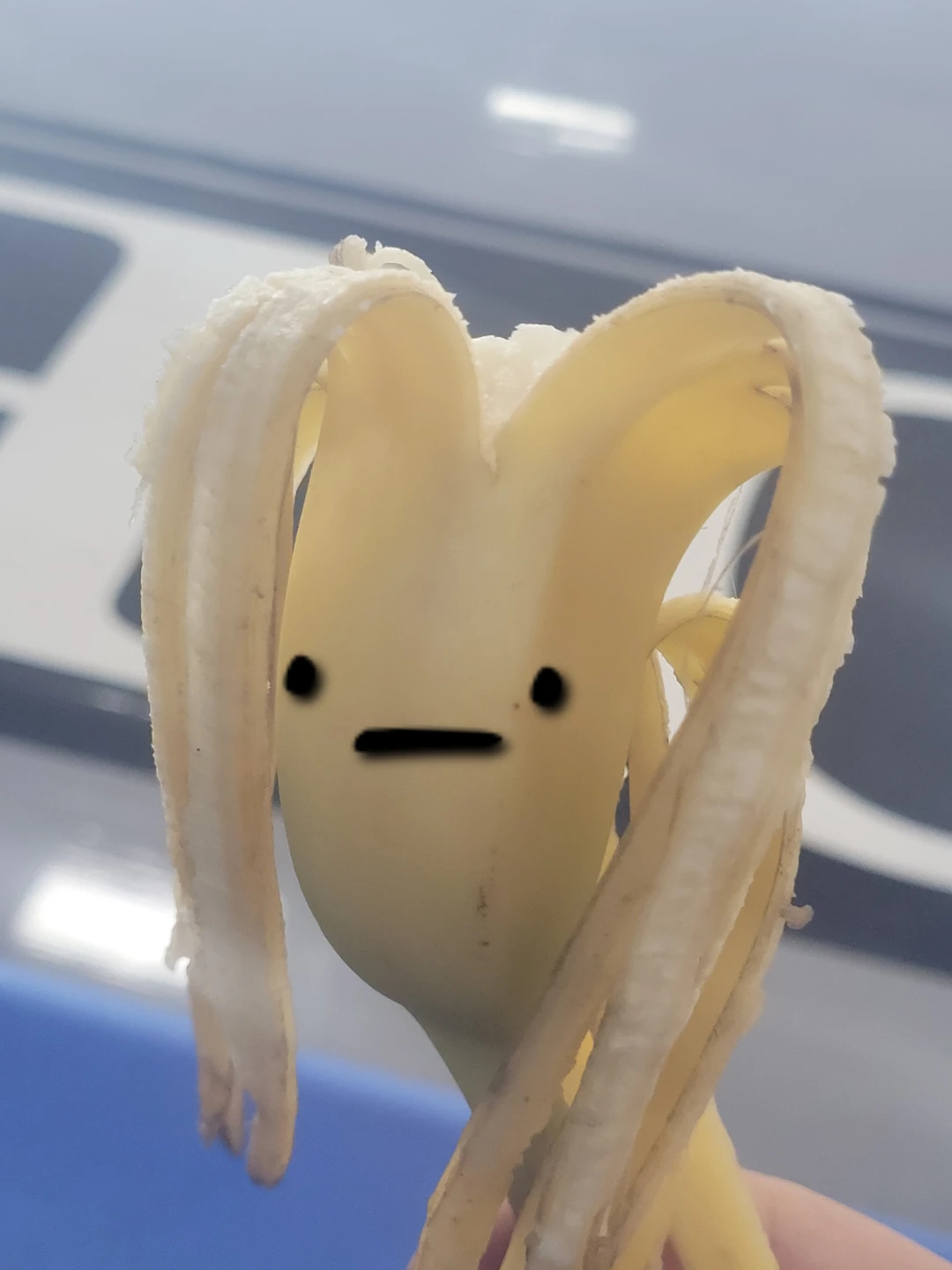Banana Garry profile