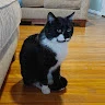 Tony profile