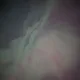 tj profile