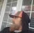 Ron Fenn profile