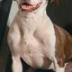 samantha profile