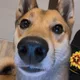 zxzczxzx profile