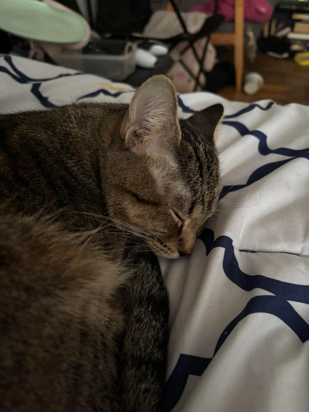 Luka profile