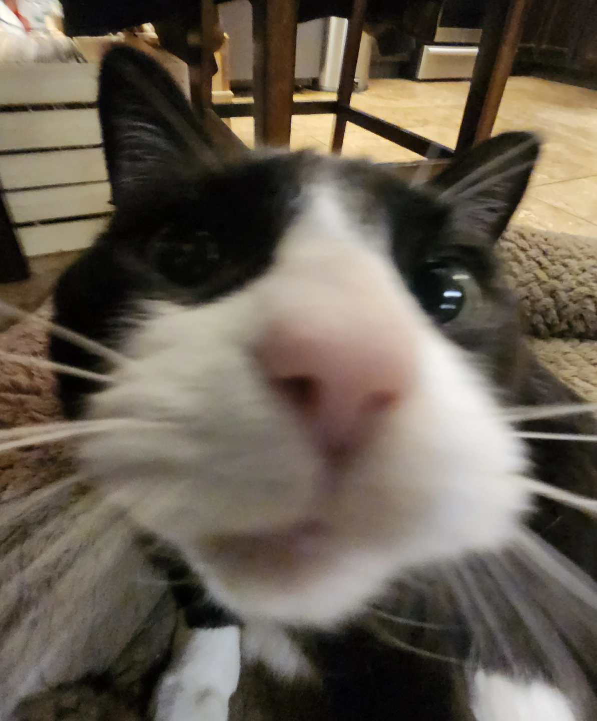 Dale profile