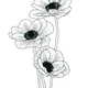 ThreePinkBlooms profile