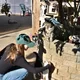 Yvonne profile