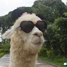 Ps Binks profile