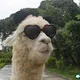 Ps Binks profile