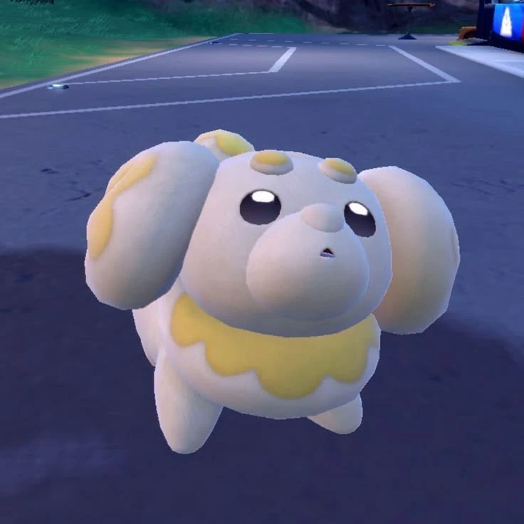 fidough