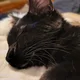 zxzczxzx profile