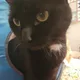 Noreen profile