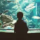 Shail Patel profile