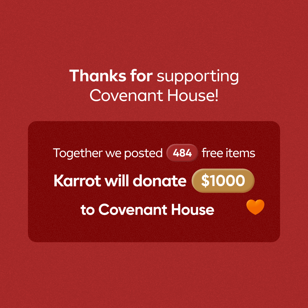 12 Days of Giving Donation Announcement 🎁 - photo 2