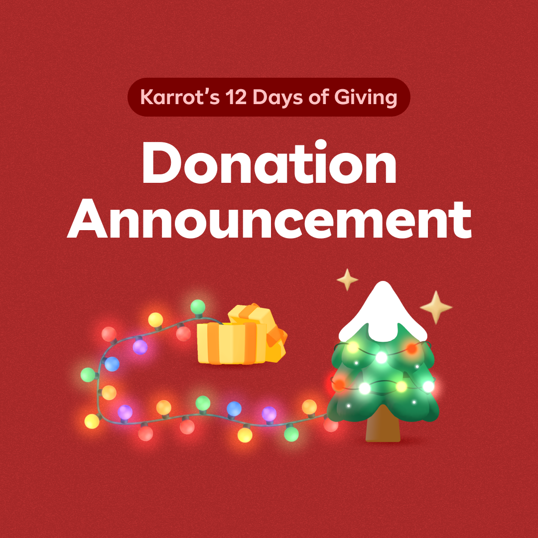 12 Days of Giving Donation Announcement 🎁
